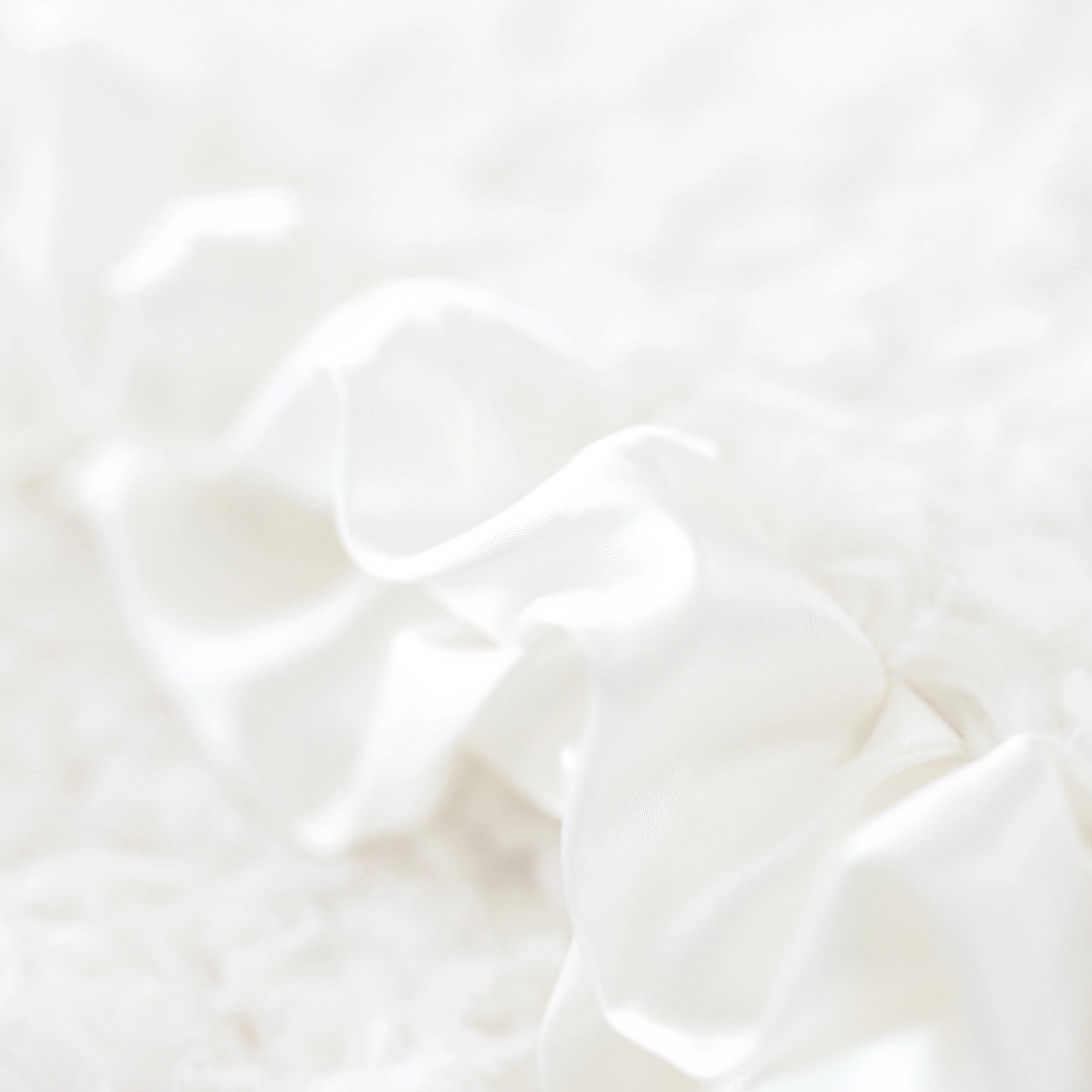 Baby Ruffle Dog Blanket
