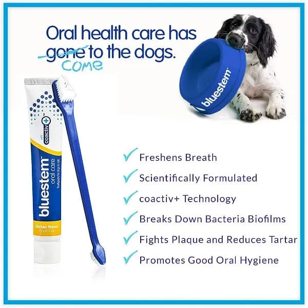 Bluestem Oral Care Chicken Flavor Toothpaste for Dogs and Cats