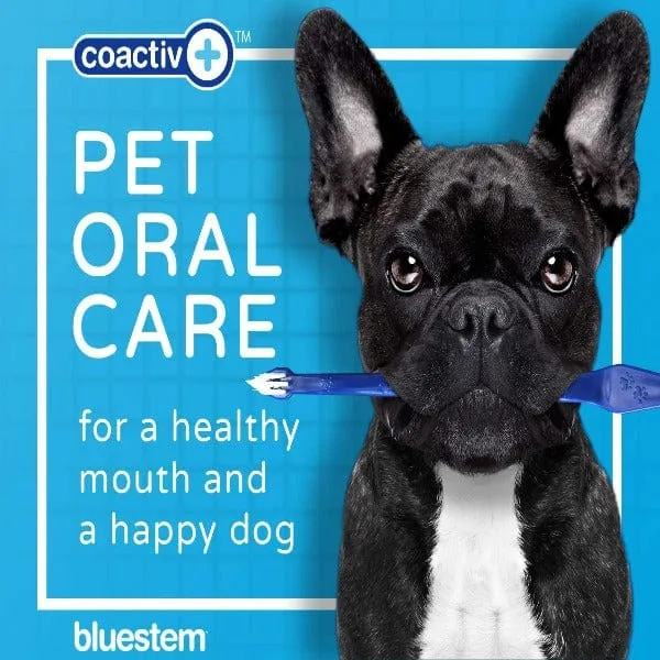 Bluestem Oral Care Chicken Flavor Toothpaste for Dogs and Cats