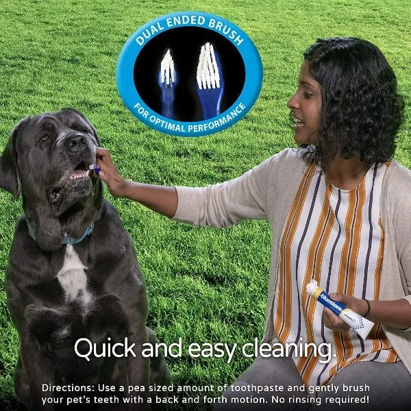 Bluestem Oral Care Chicken Flavor Toothpaste for Dogs and Cats