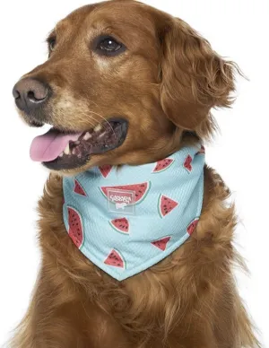 Canada Pooch Cooling Bandana Watermelon
