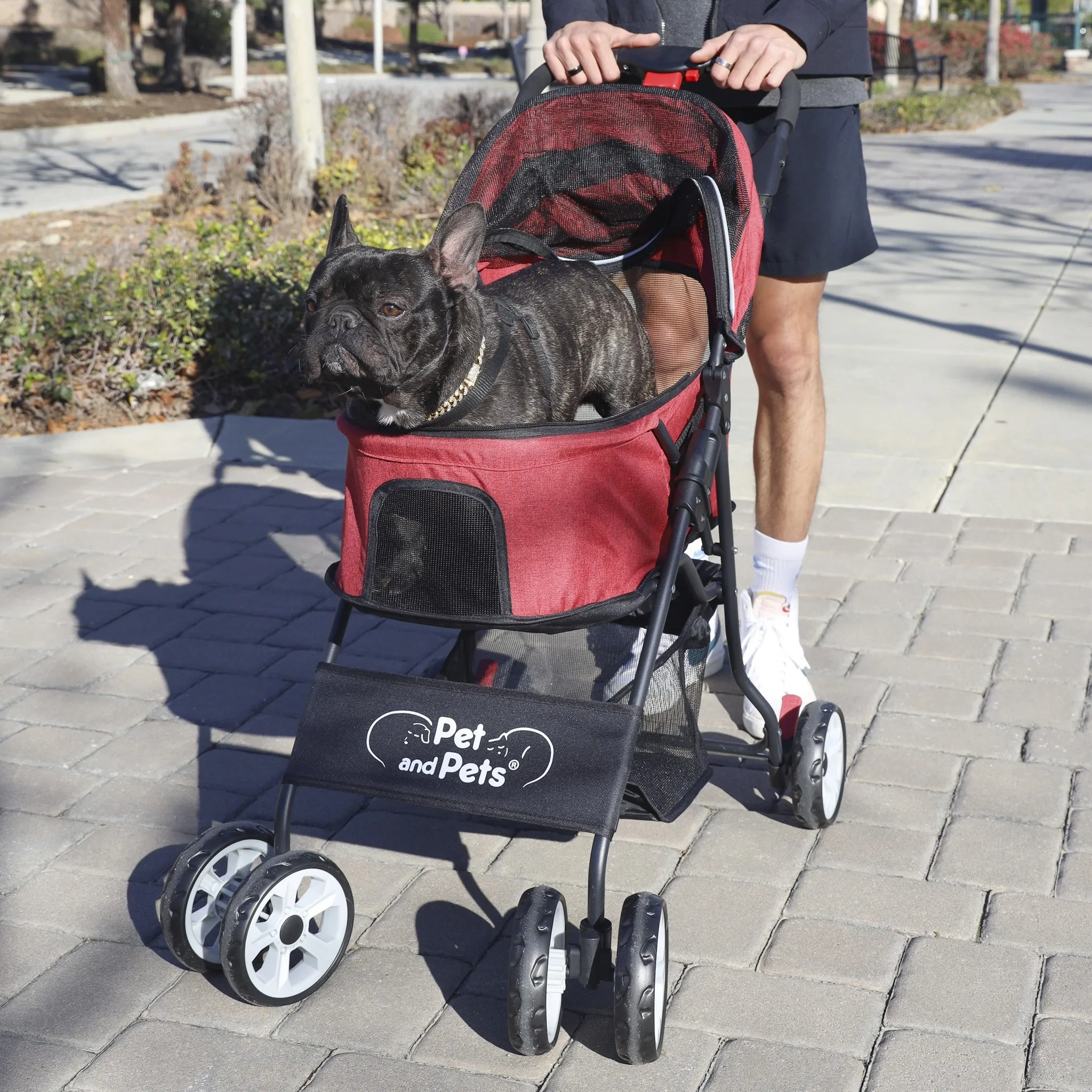 Catalina Pet Stroller - Robin Red