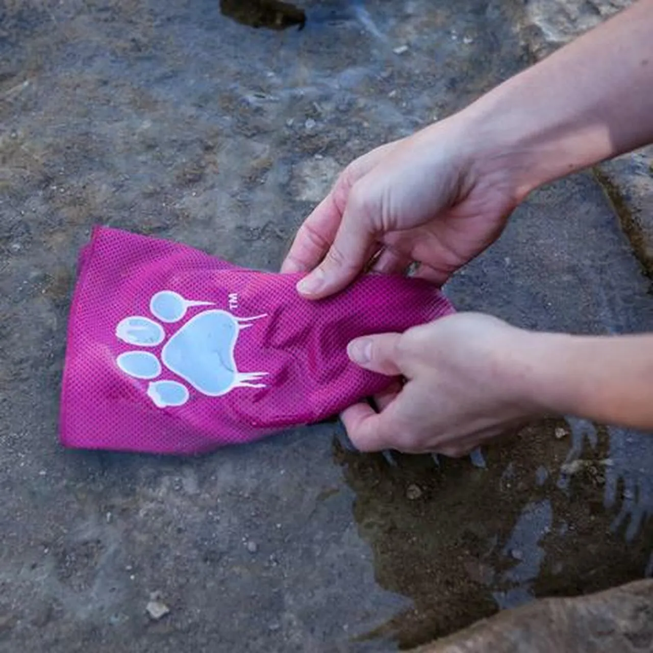 Coolaid CoolAid Canine Bandana SALE
