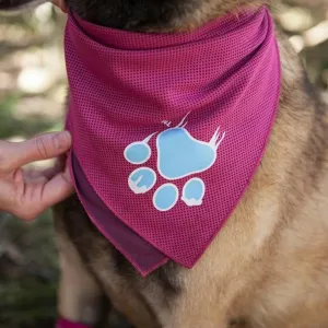 Coolaid CoolAid Canine Bandana SALE