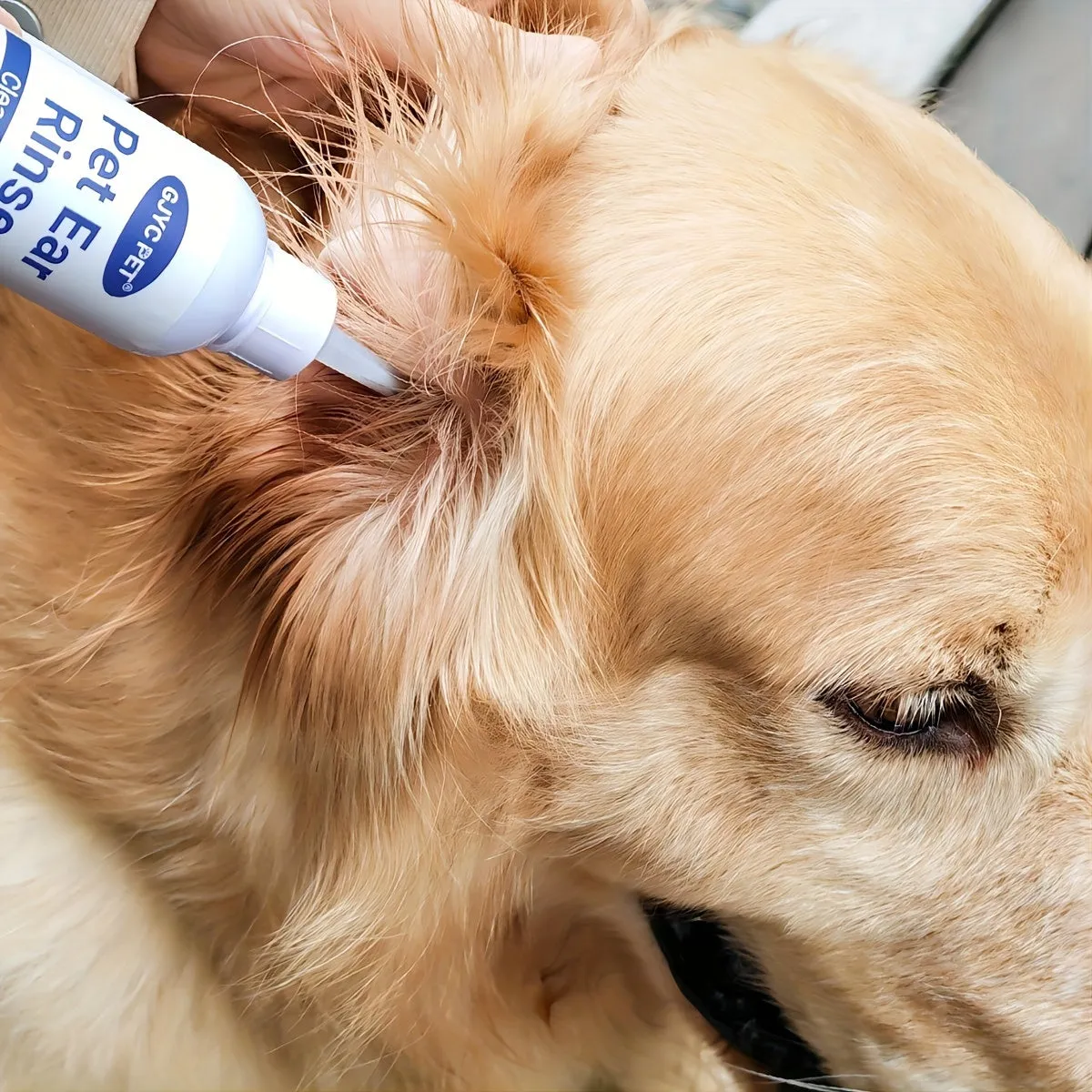 Dog and Cat Ear Cleaner Treat Infections and Odors