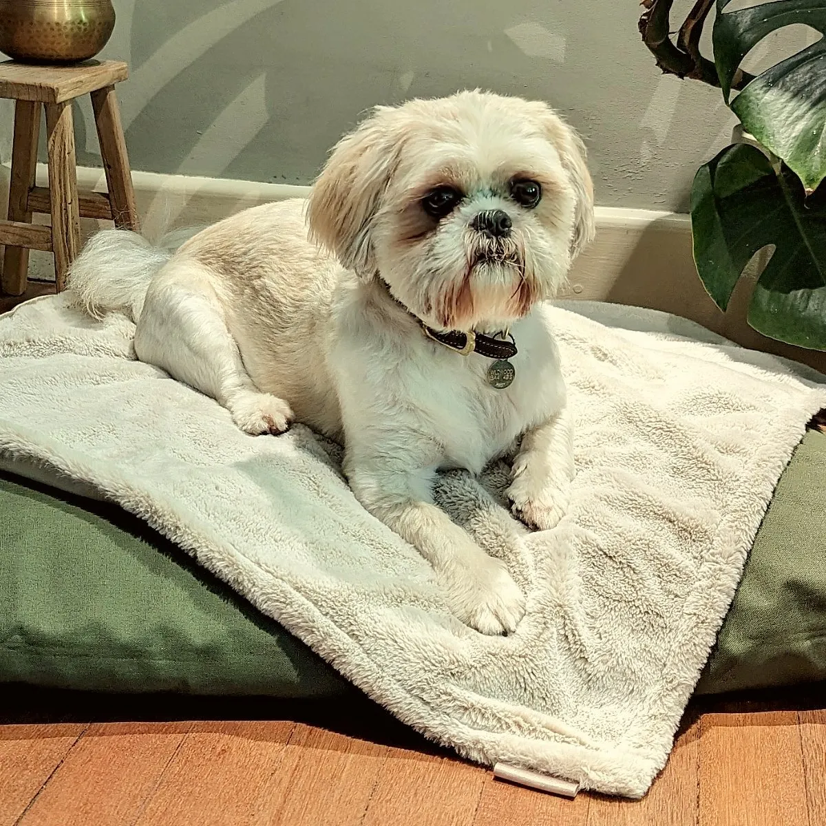 Dog Blanket - Luxury Faux Fur