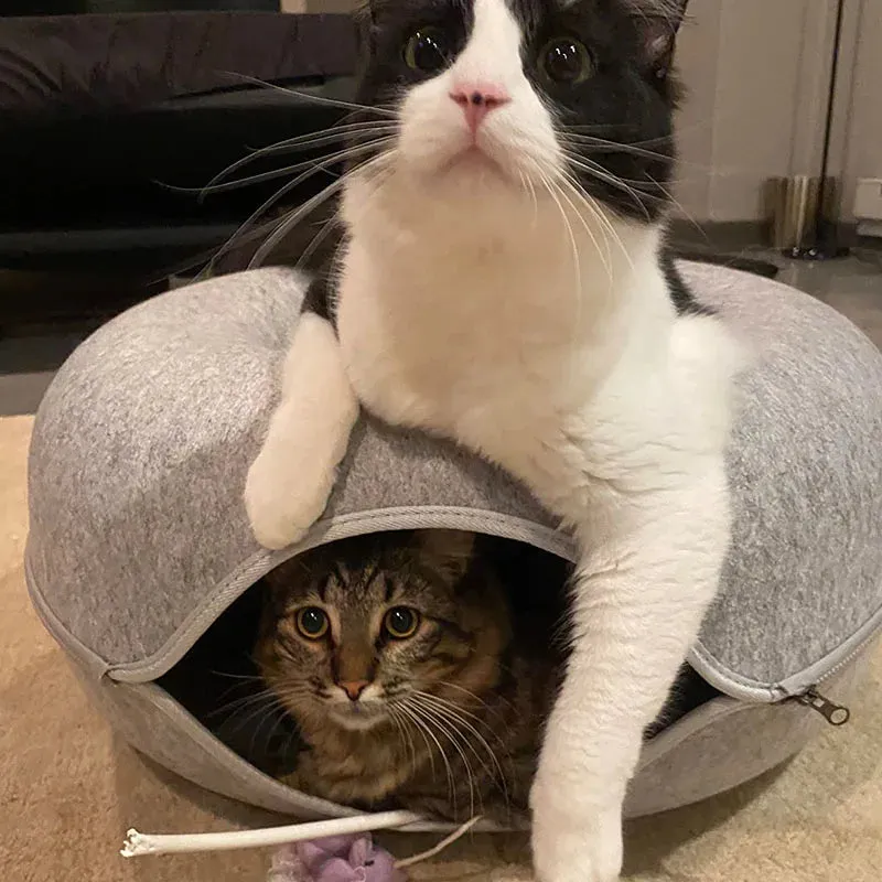 Donut Felt Cat Bed Pet Cat Tunnel Interactive Toy Dual Use Rabbit Cave Nest Indoor Cats House Kitten Funny Training Accessories