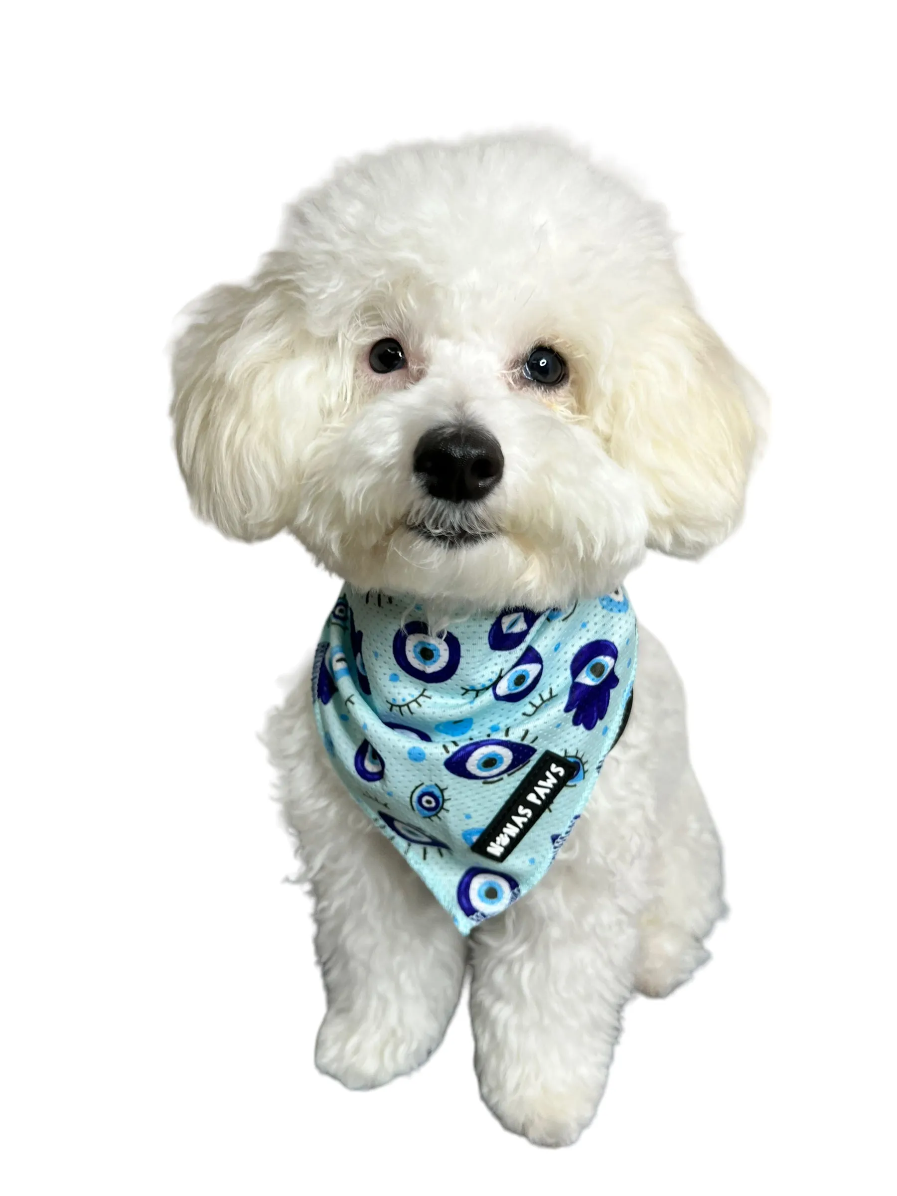 Evil Eye - Cooling Bandana