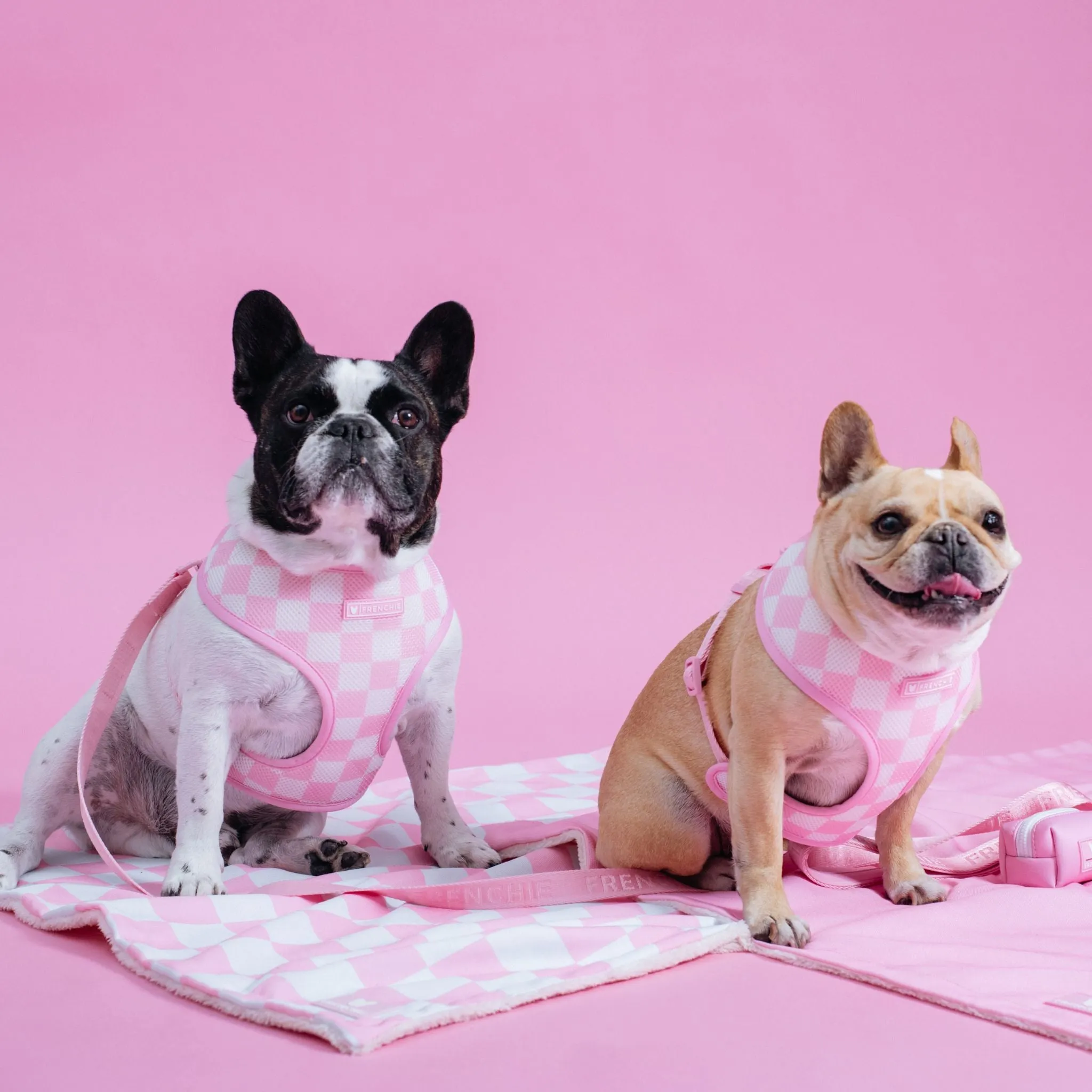 Frenchie Blanket - Pink Checkered