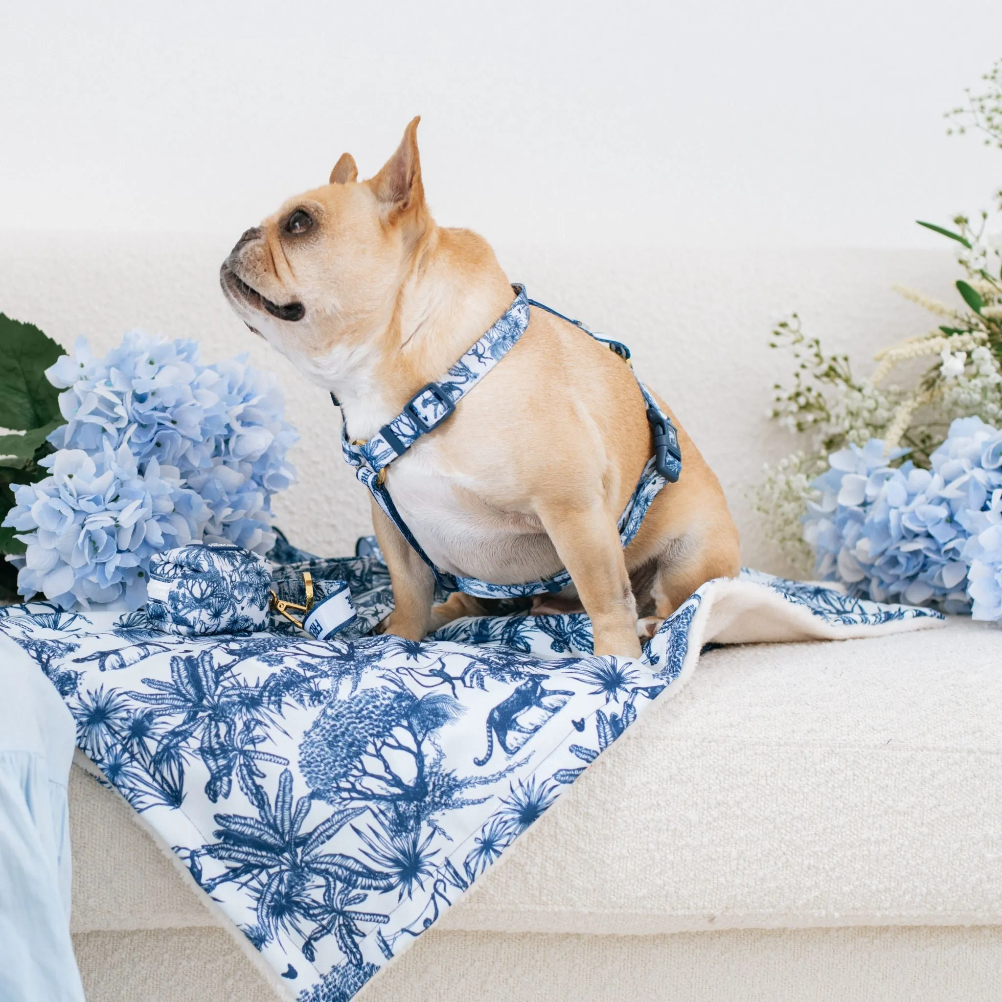 Frenchie Blanket - Toile- Blue