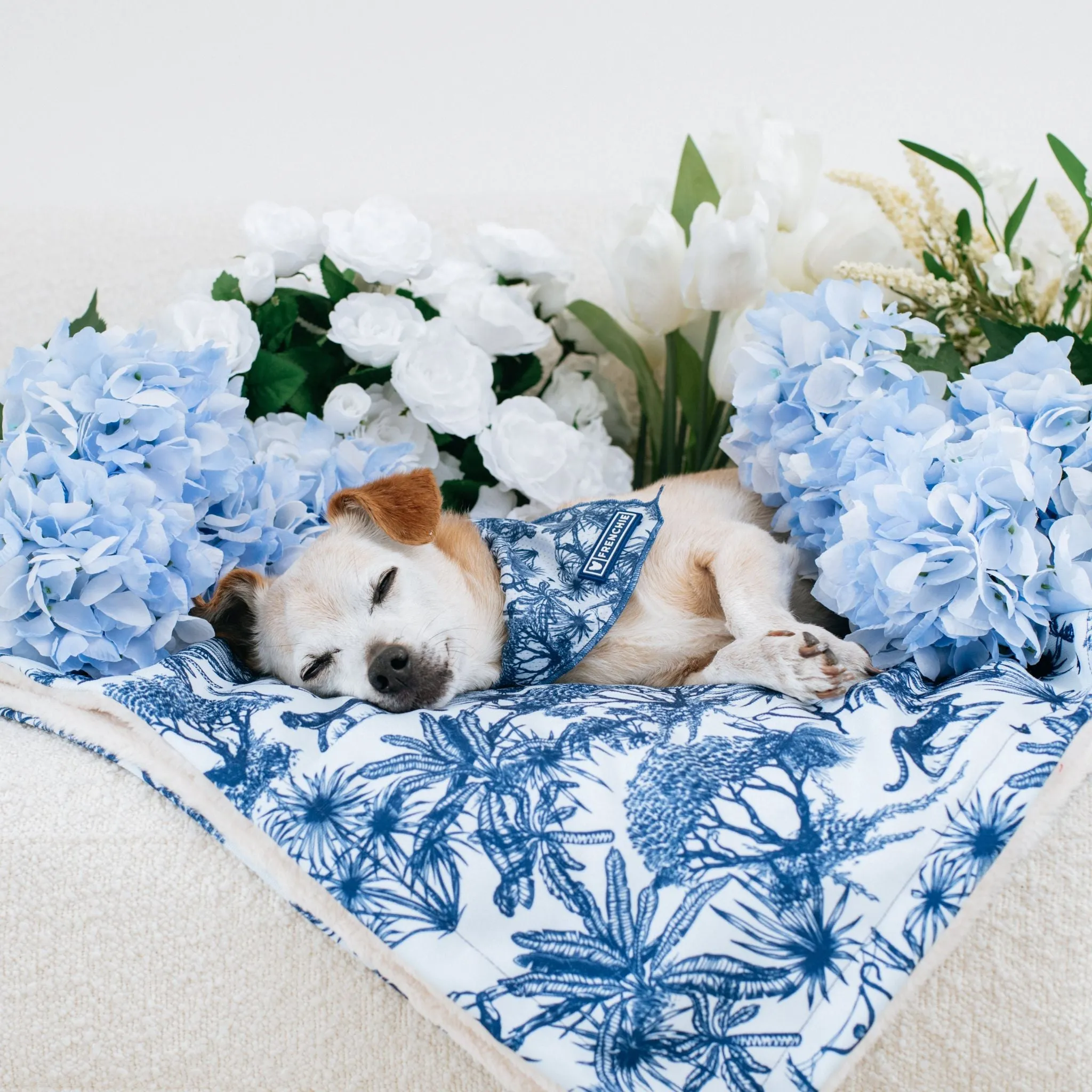 Frenchie Blanket - Toile- Blue