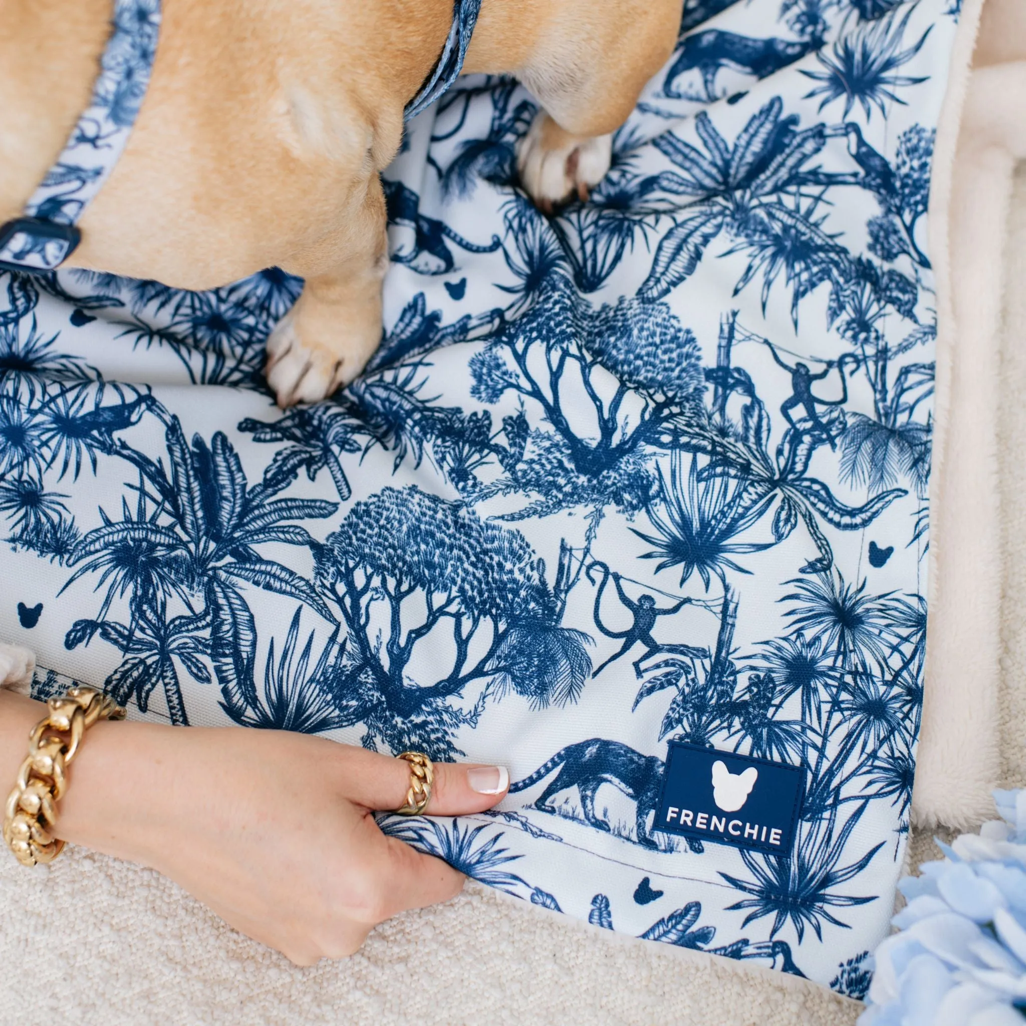 Frenchie Blanket - Toile- Blue