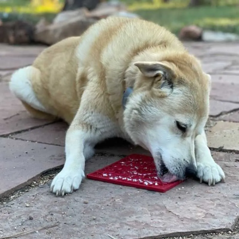 Heart-Dog Lick Mat