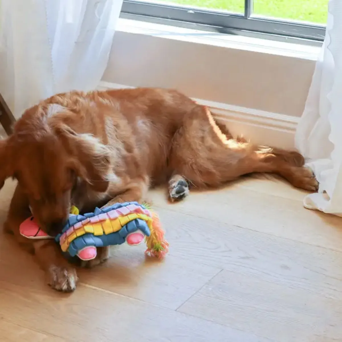 Injoya Fiesta Piñata Snuffle Toy