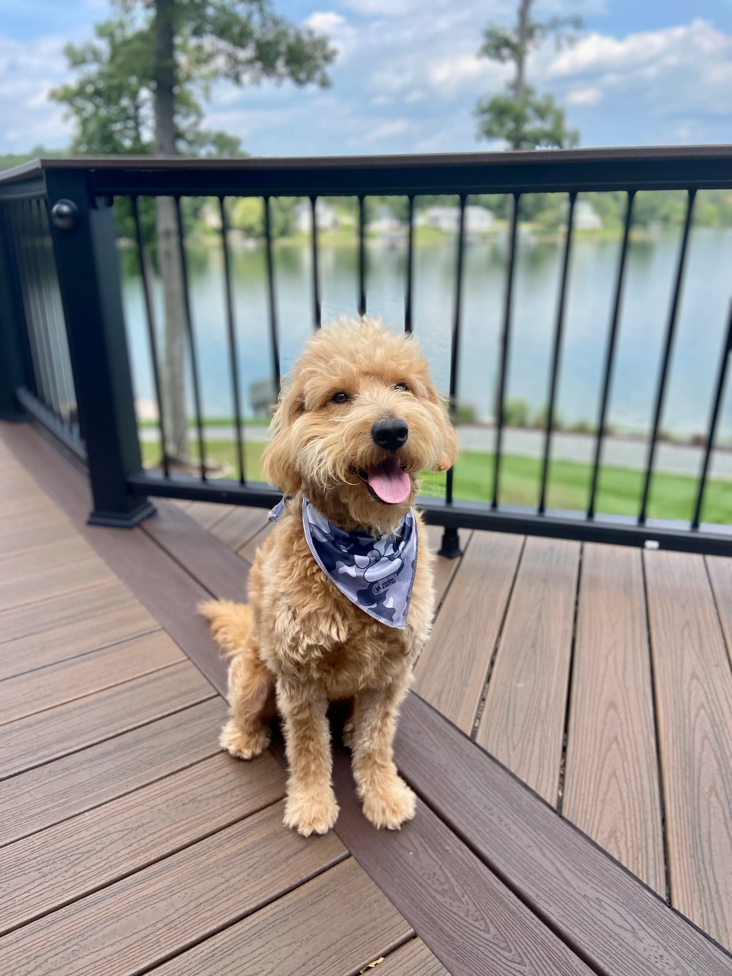 Padres Triangle Cooling Bandana: All Over