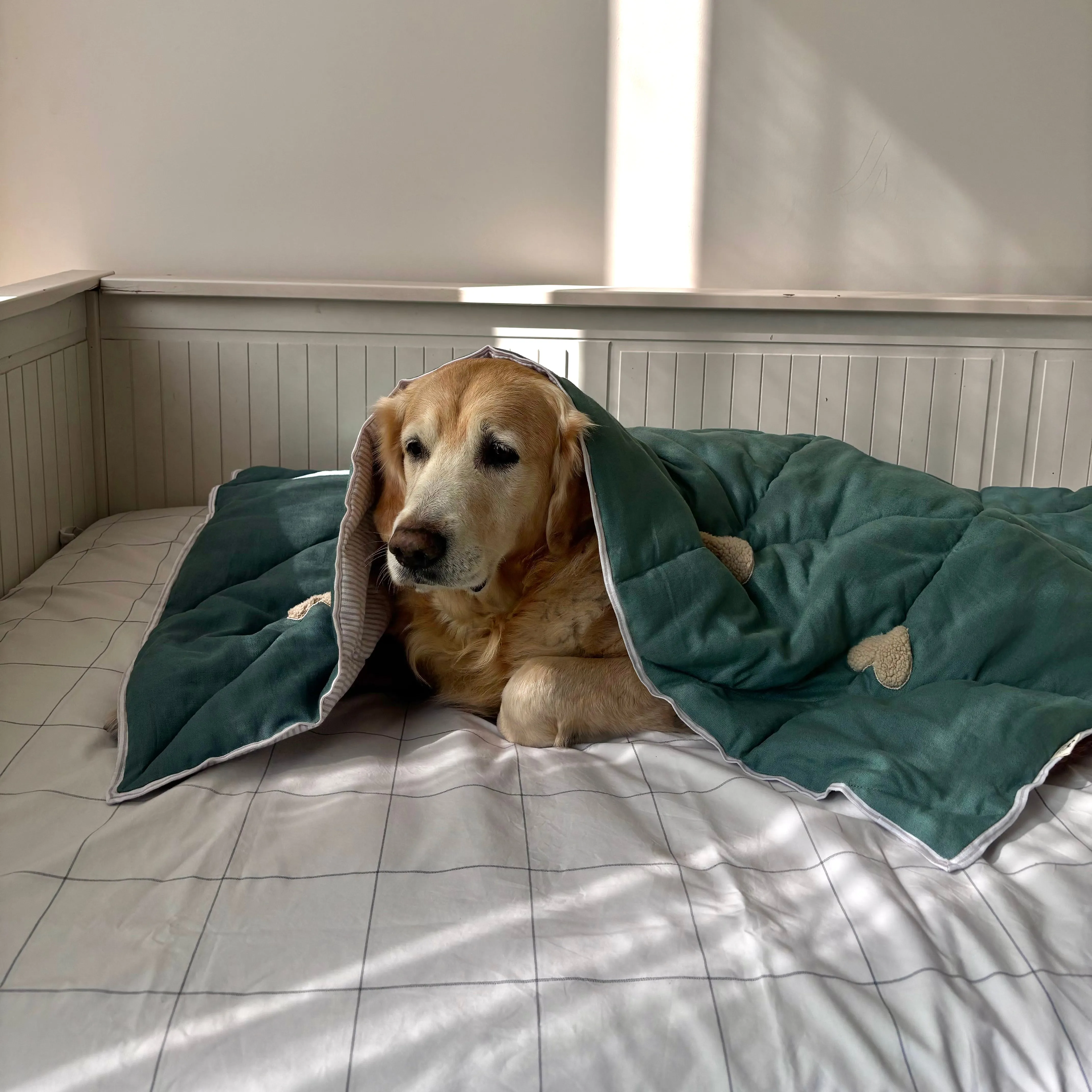 PoochMate Green Linen Little Hearts Dog Blanket
