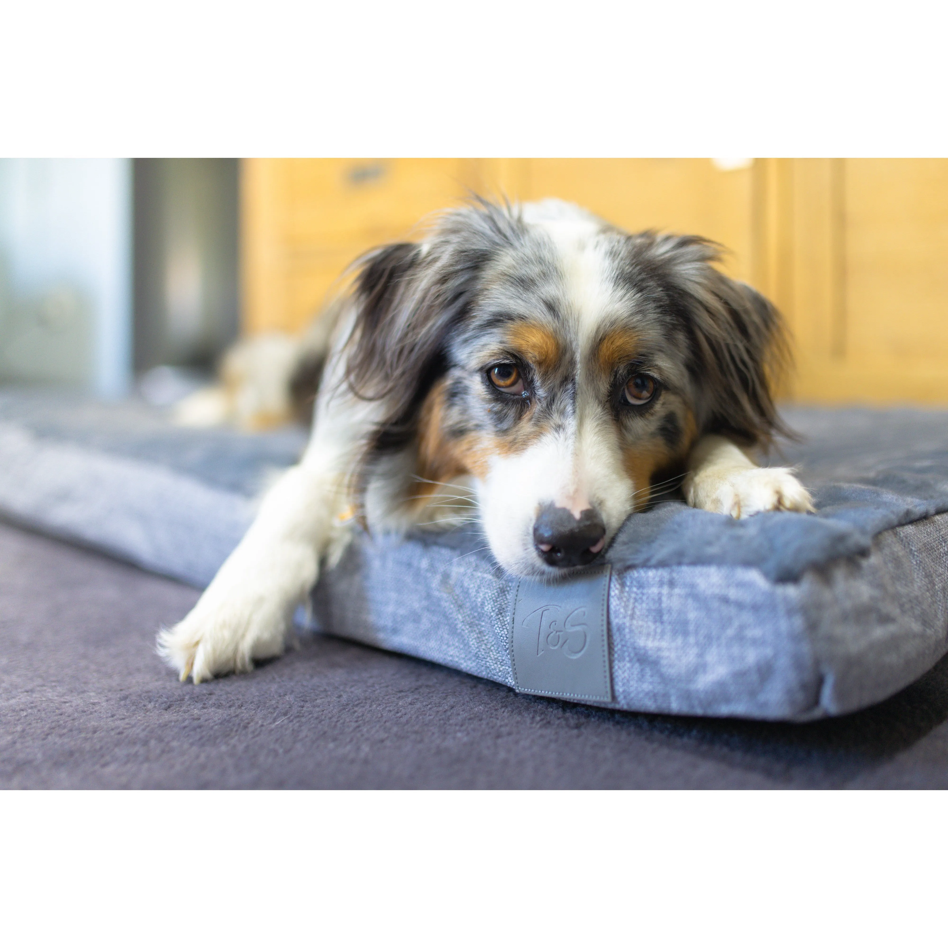 T&S Slumber Pet Mat Steel Grey Small