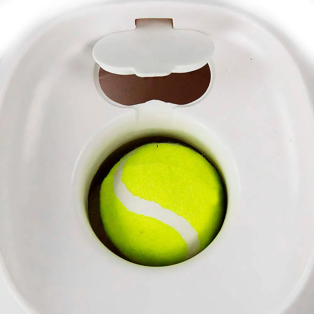 Tennis Ball Throwing and Rewarding Machine