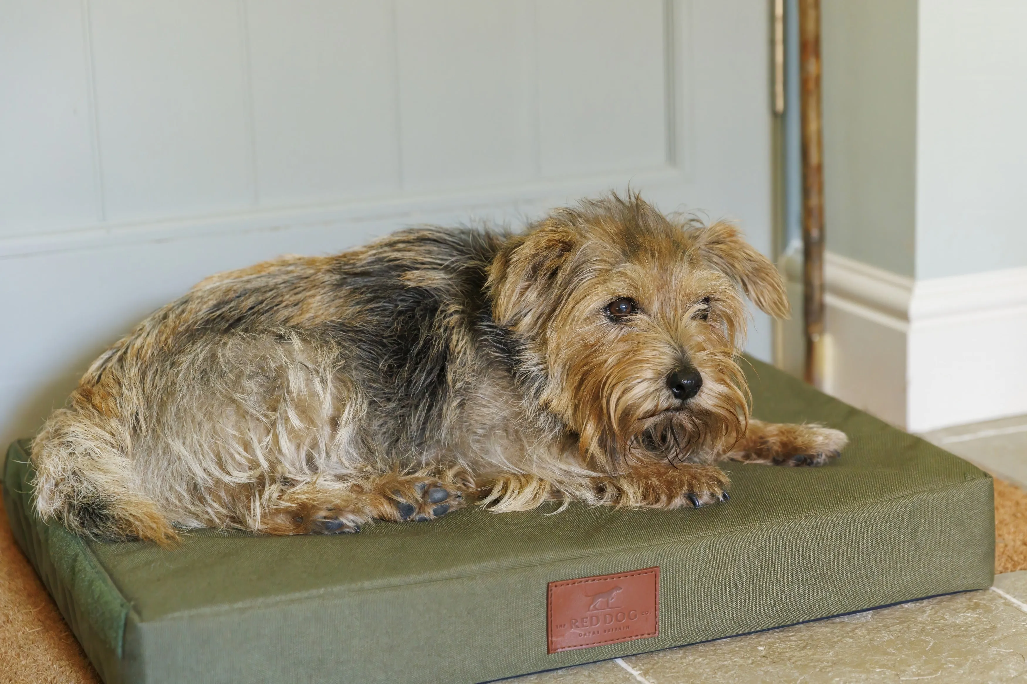 Working Dog Mat